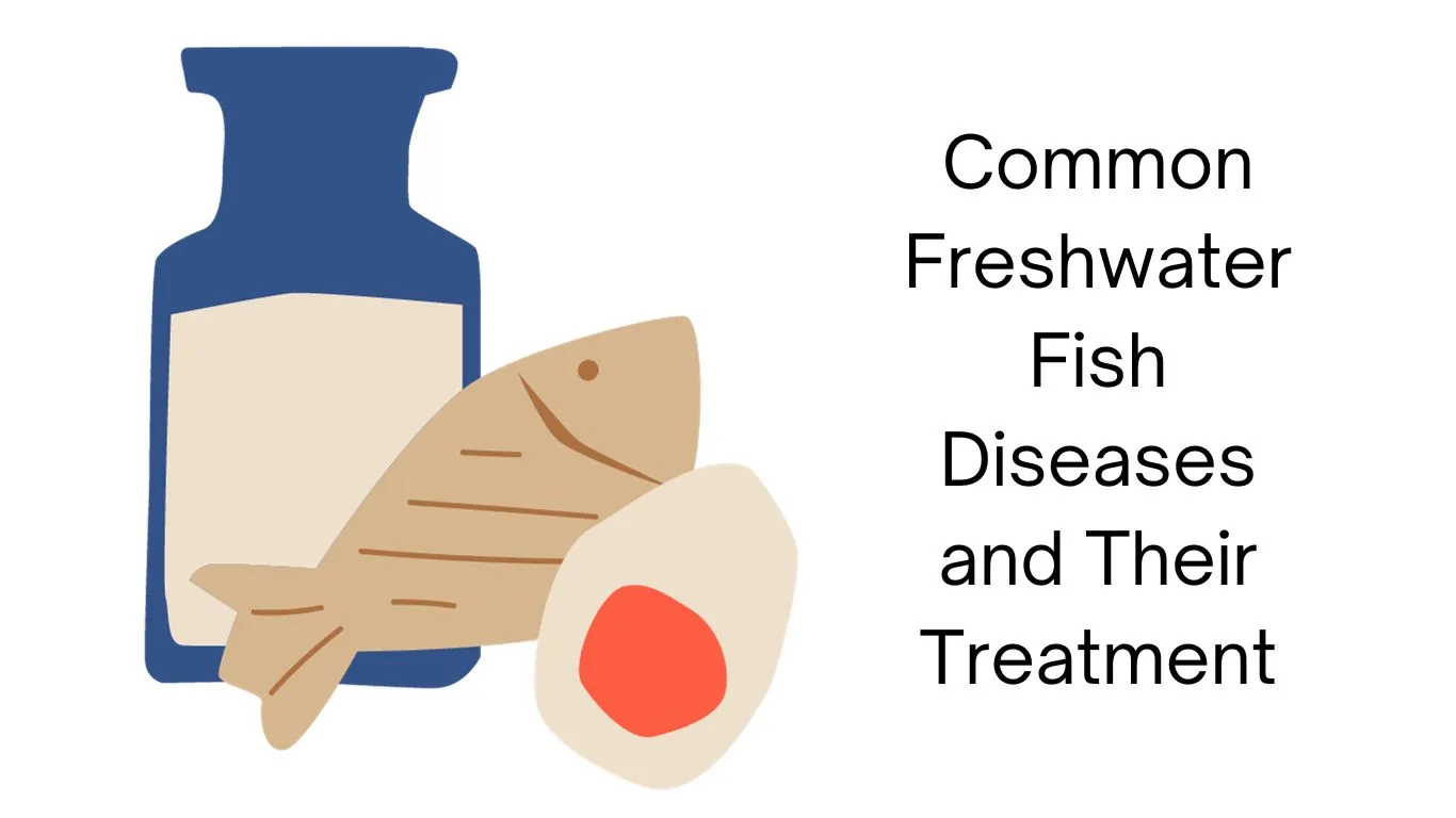 Freshwater Fish Diseases and Their Treatment